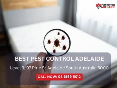 Trusted Pest Control Experts in Clarence Gardens