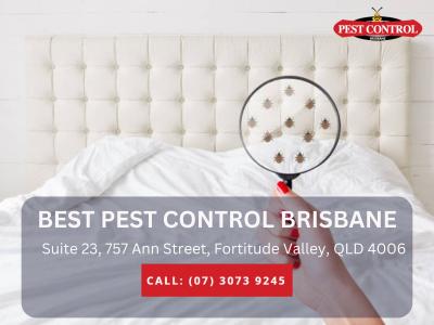 Pest-Free Living in Logan Village - Brisbane Other