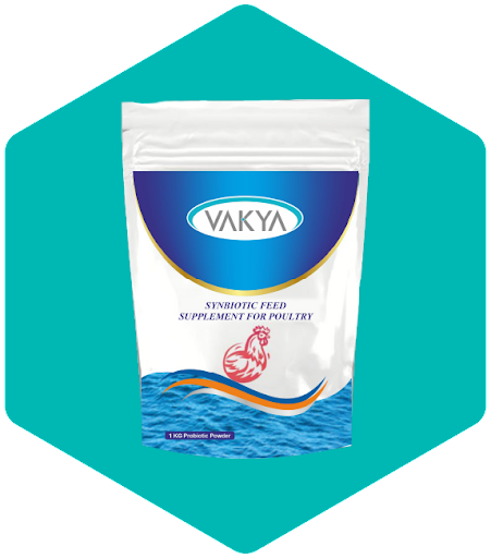 Pre & Probiotic Blends Manufacturer And Supplier