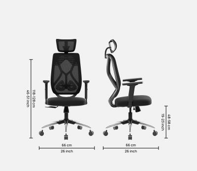 Office Chairs Online - Bangalore Furniture