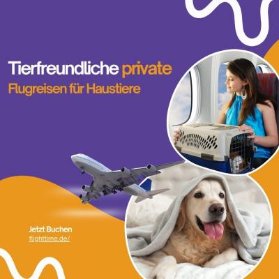 Tierfreundliche private Flugreisen für Haustiere