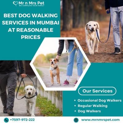 Best Dog Walking Services in Mumbai at Reasonable Prices