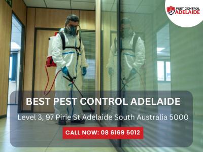 Effective Outdoor Mosquito Control in Adelaide