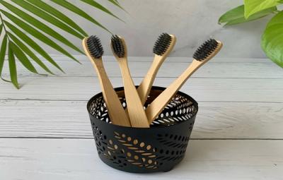 Find the  Bamboo Tooth Brushes in Maharashtra 