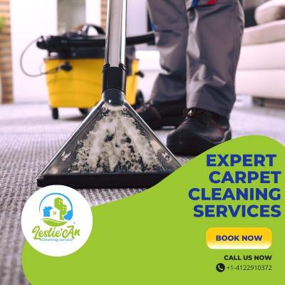 Carpet Cleaning Services Pittsburgh - Other Other