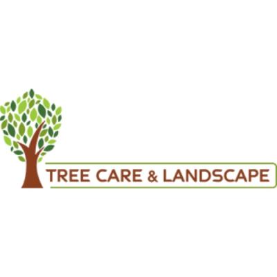 Reliable Tree Service in Rosemont: Keeping Your Trees Healthy