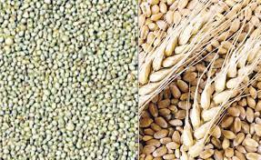 grains and pulses - Pune Health, Personal Trainer