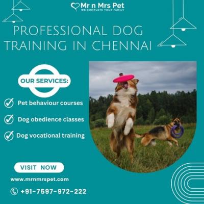 Best Dog Training in Chennai - Other Other