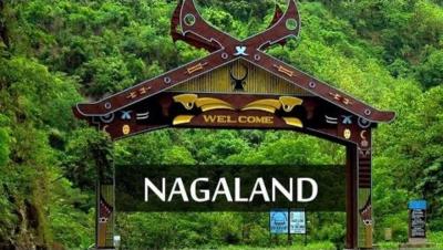 Latest Nagaland Tenders - Other Other