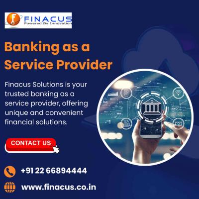 Banking as a Service Provider