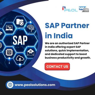 SAP Partner in India