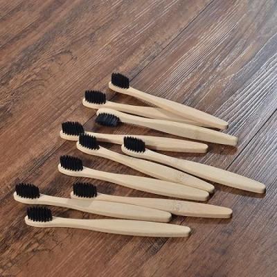 Bamboo Toothbrushes in Madhya Pradesh