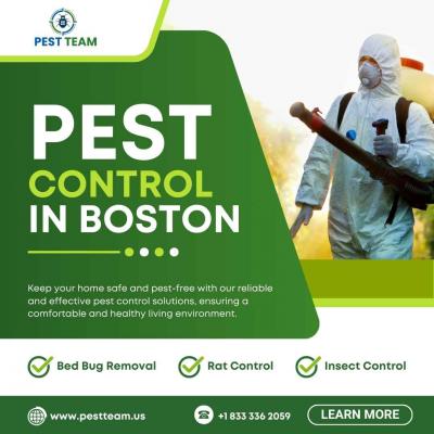 Pest Control in Boston - Other Other