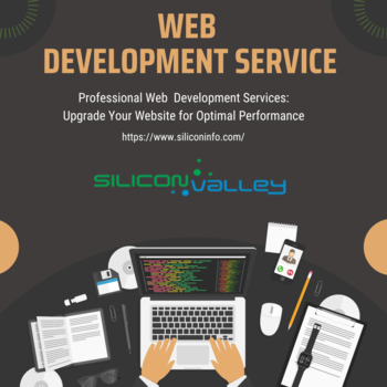 Professional Web Development Services for Your Business Needs