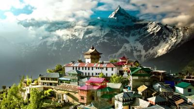 Latest Himachal Pradesh Tenders - Other Other