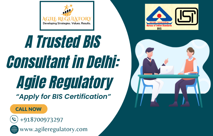 BIS Consultant for BIS ISI Mark, CRS, FMCS and Hallmark Certification in India