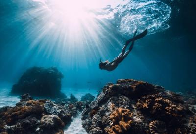 Saona Island Freediving | Freedivingdr.com - Other Other