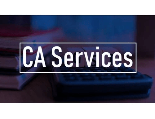 Get Expert CA Services for Your Business