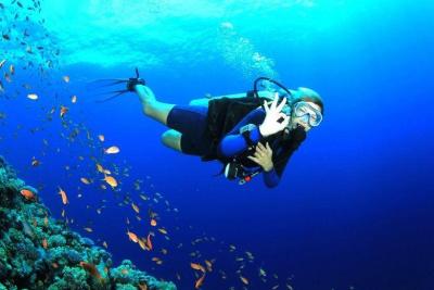 Scuba Diving at Havelock Island