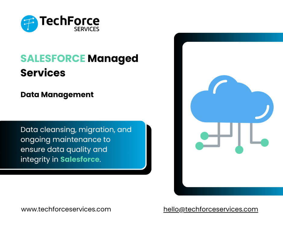 Salesforce Managed Services - Data Management - Delhi Other