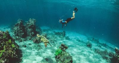 Snorkelling In Havelock Island