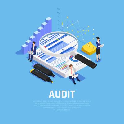 MIMOiQ: Your Trusted Partner for Internal Audit Services