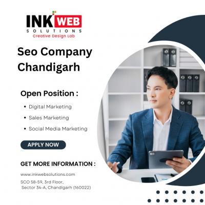 Drive Traffic : Seo Company in Chandigarh - Chandigarh Computer