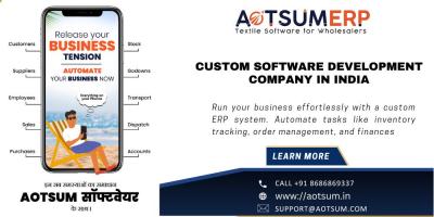 custom software development company in India - Chittoor Other