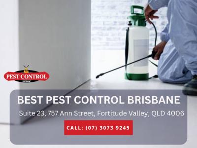 Professional Termite Inspection Brisbane - Brisbane Other