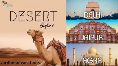 Desert Safari With Golden Triangle - Delhi Other