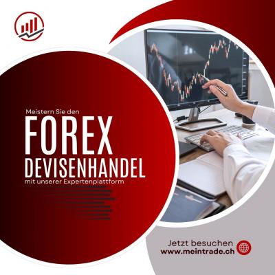 Meistern Sie den Forex Devisenhandel mit unserer Expertenplattform