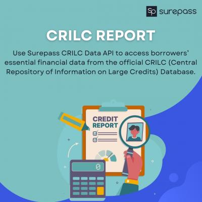 Crilc Report - Central Repository of Information on Large Credits (CRILC)