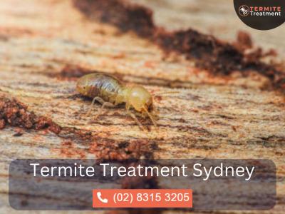 Residential Termite Treatment in Sydney - Sydney Other