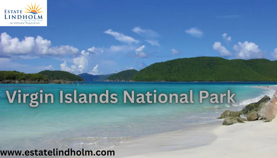 Explore the Wonders of Virgin Islands National Park