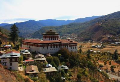 8 Days - Bhutan Tour from Delhi - London Other