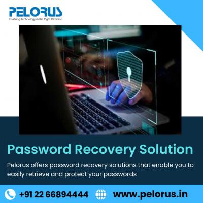 Password Recovery Solution