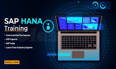 SAP HANA Training in Noida