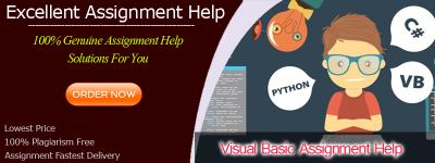 How Can Visual Basic Assignment Help Improve Your Skills?