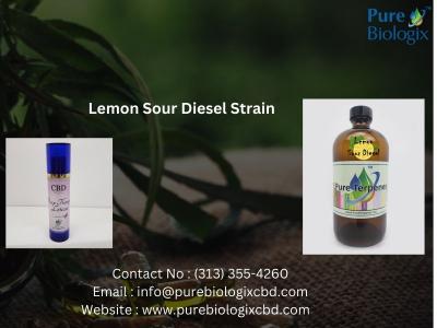 Premium Lemon Sour Diesel Strain for Sale