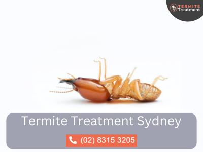 Termite Inspection Sydney – Protect Your Home Today