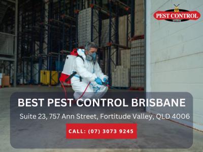 Building Pest Inspection Brisbane – Professional Inspections - Brisbane Other