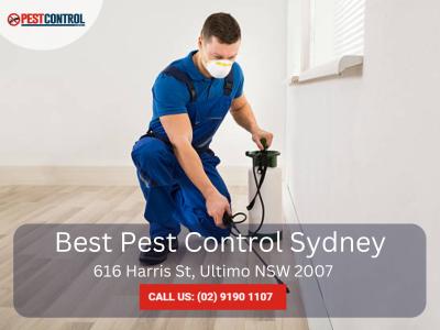 Get Rid of Termites in Sydney – Fast & Effective