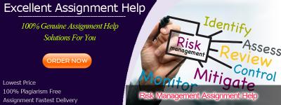 What Are the Best Practices for Risk Management Assignments? 