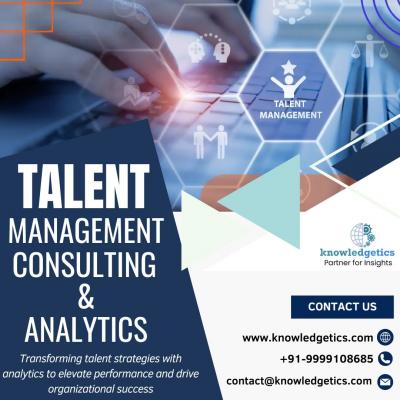 Talent management analytics companies - London Other