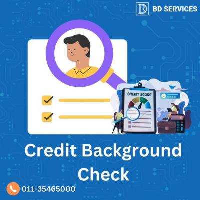 BD Services - Comprehensive Credit Background Checks