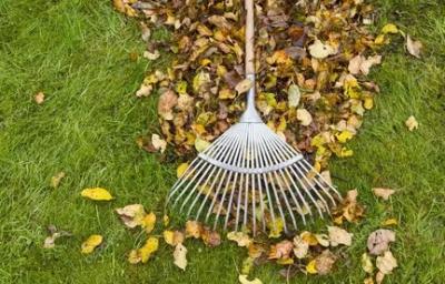 Fall Cleanup Landscaping Services - Chicago Other