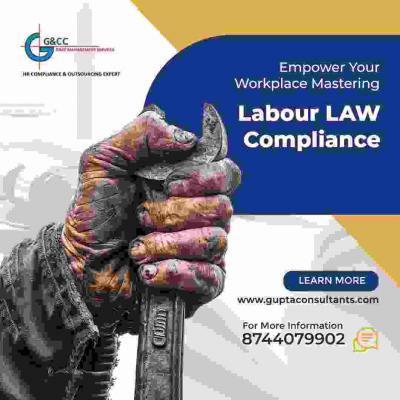 Labour Laws Compliance Services  Gurgaon - Delhi Professional Services