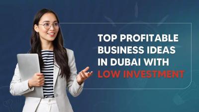 Business Ideas in Dubai with Low Investment - Shuraa