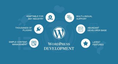 WordPress Website Services In Delhi