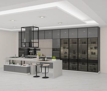 Kitchen Design - Delhi Other